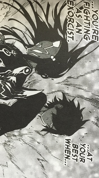 Illustration for article titled Twin Star Exorcists Vol. 1 - Manga Review